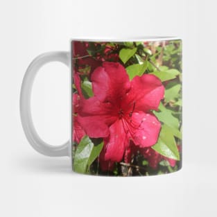 Red Azalea Mug